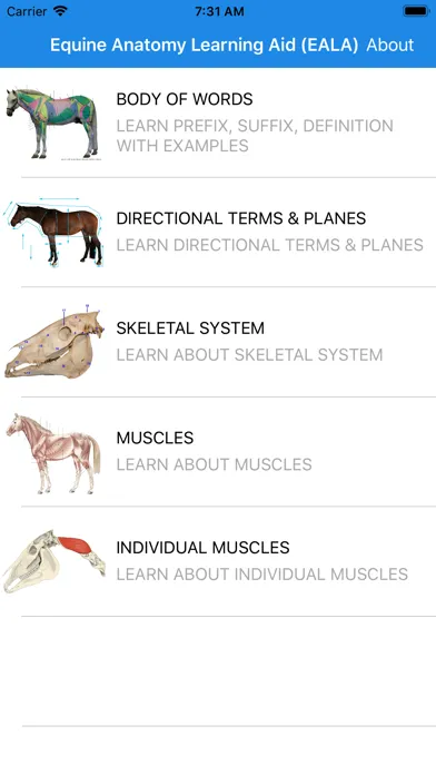 Capturas de pantalla de Equine Anatomy Learning Aid