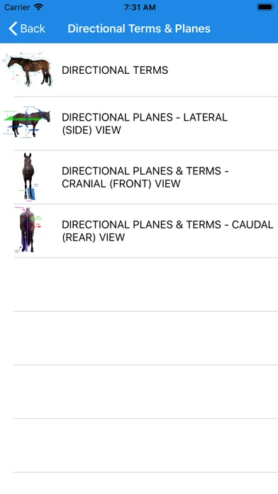 Capturas de pantalla de Equine Anatomy Learning Aid