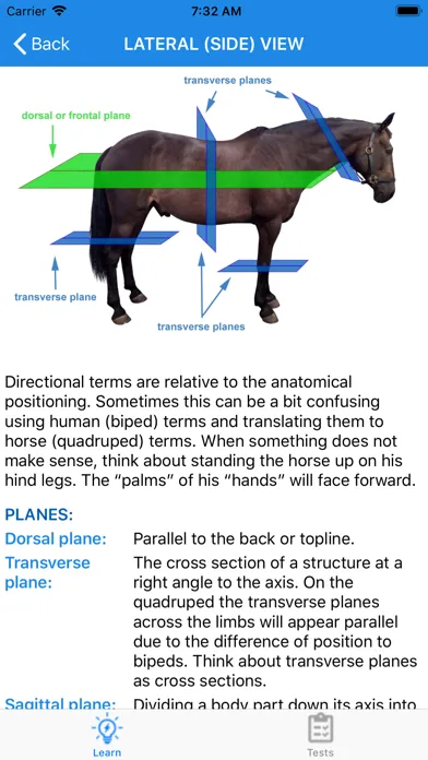 Capturas de pantalla de Equine Anatomy Learning Aid