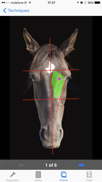 Zrzuty ekranu BEVA Equine Techniques