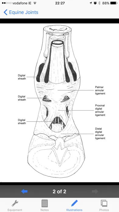 Tangkapan skrin Equine Joint Injections