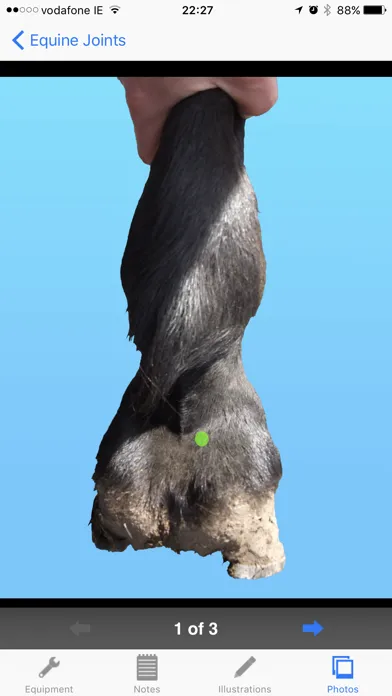Tangkapan skrin Equine Joint Injections