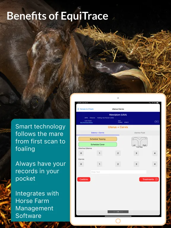 Capturas de pantalla de EquiTrace Pro iPad 