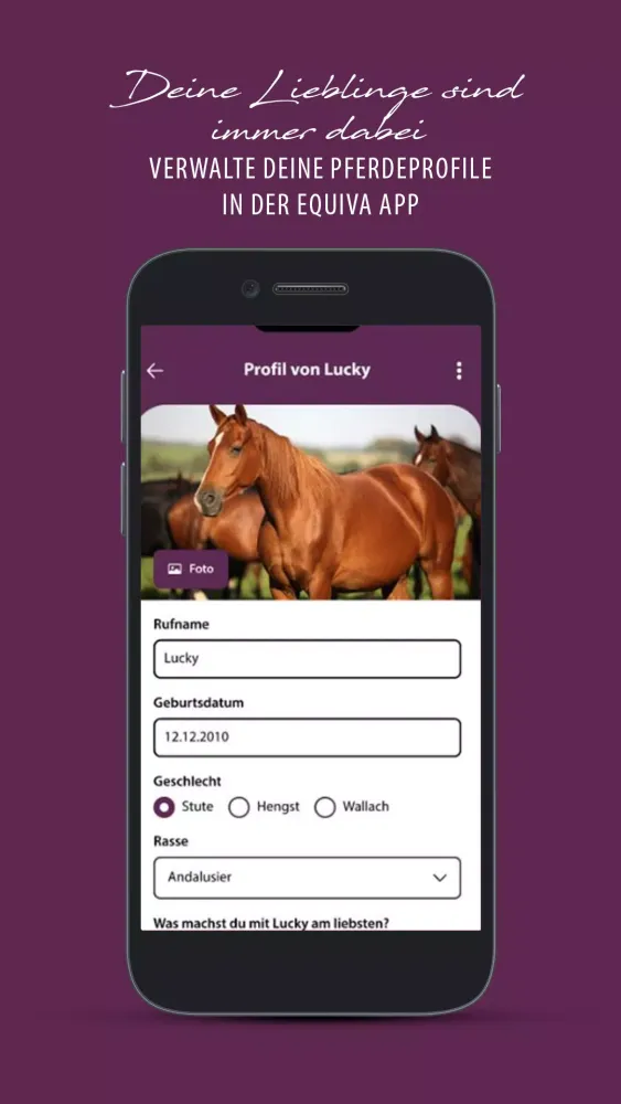 تصاویر EQUIVA