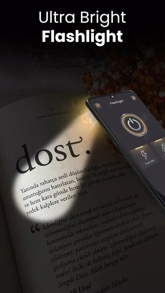 Flashlight App Led Torch Light应用截图