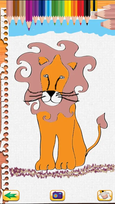 Draw and Colour: The Jungle应用截图