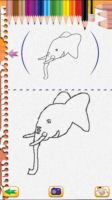 Draw and Colour: The Jungle应用截图