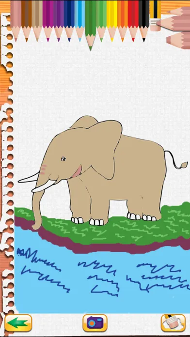 Draw and Colour: The Jungle应用截图