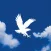 Embry-Riddle Viewbook