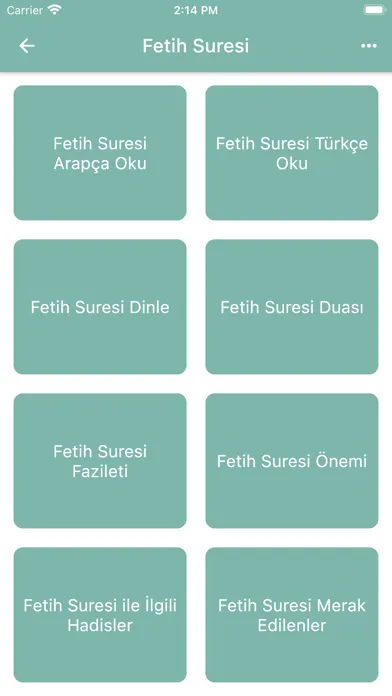 Fetih Suresi (Sesli) 스크린샷