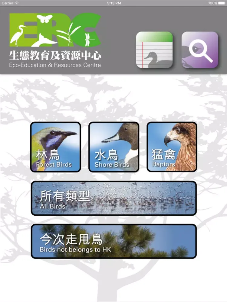Скриншоты HKBirds iPad 