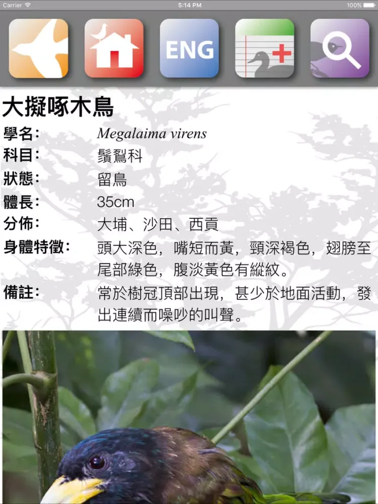Скриншоты HKBirds iPad 