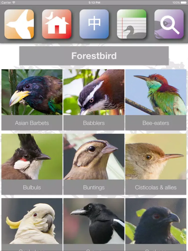 Скриншоты HKBirds iPad 