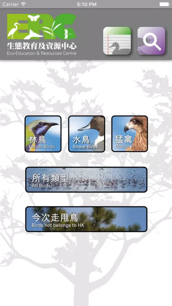 Скриншоты HKBirds