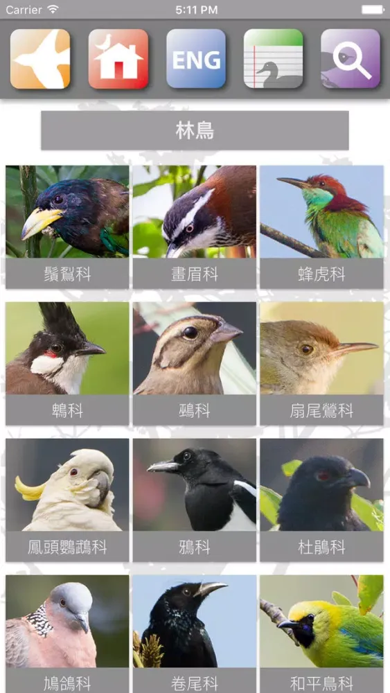 Скриншоты HKBirds