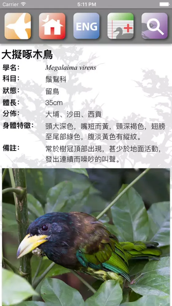 Скриншоты HKBirds