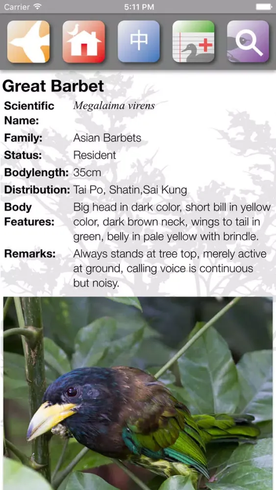 Скриншоты HKBirds