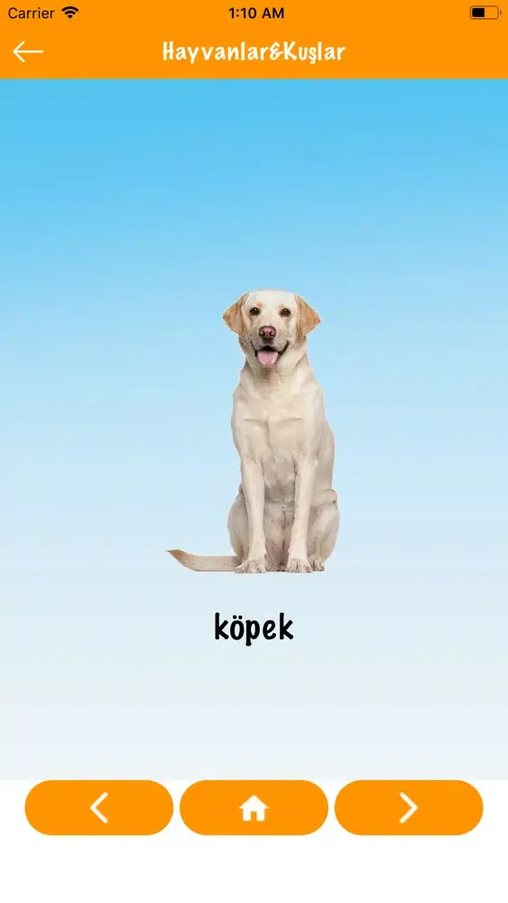 Capturas de tela do Çocuklar Öğreniyor