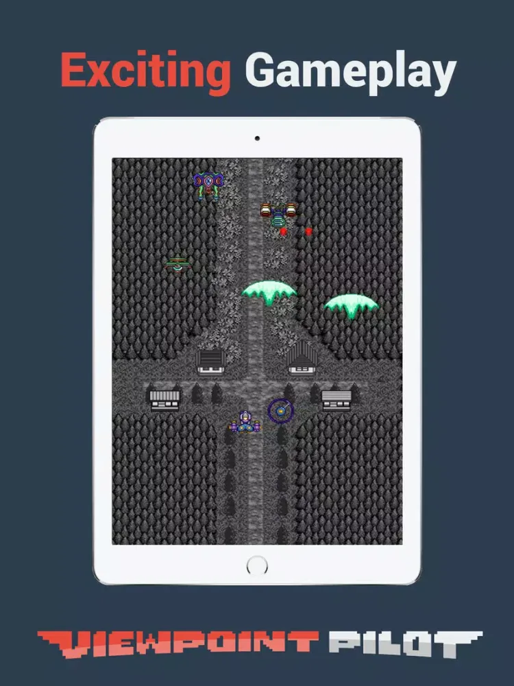 Viewpoint Pilot: Point of View Review Game iPad 应用截图