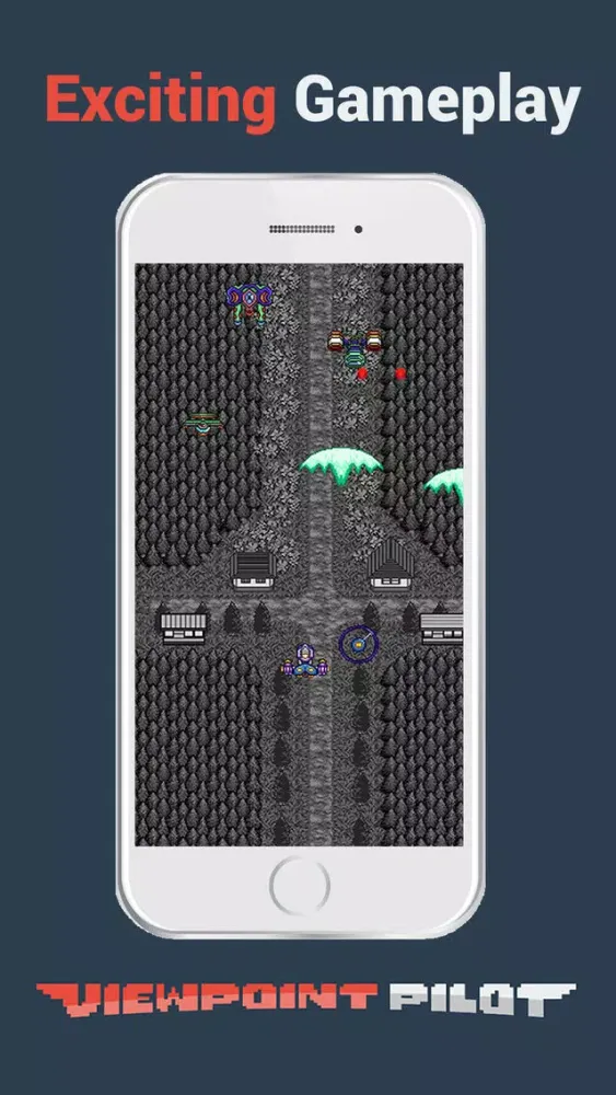 Viewpoint Pilot: Point of View Review Game应用截图