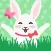 Moji Bunny