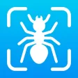 Bug Finder: Identifier