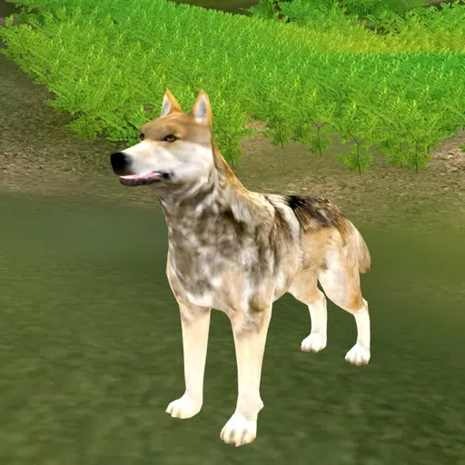 Wolf Attack Simulator 2017