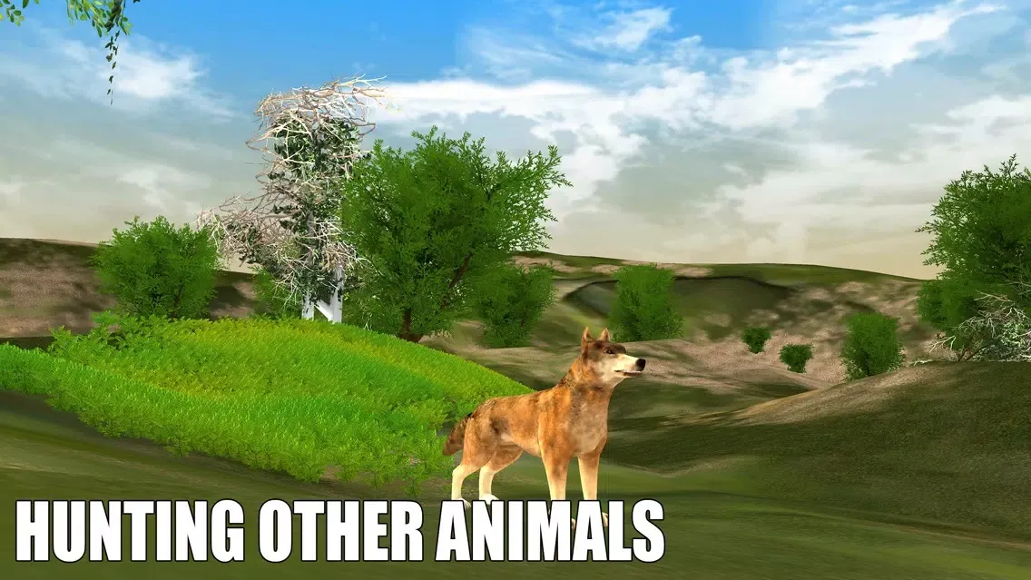 Wolf Attack Simulator 2017應用截圖
