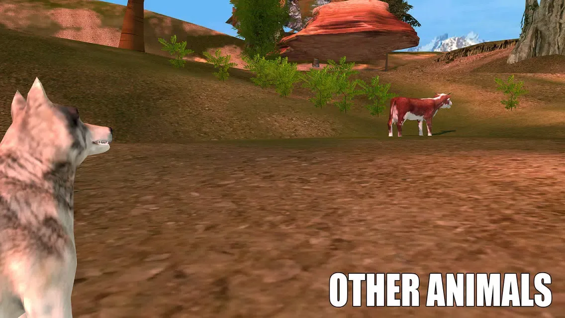 Wolf Attack Simulator 2017應用截圖