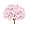 Sakura - 四字熟語Quiz