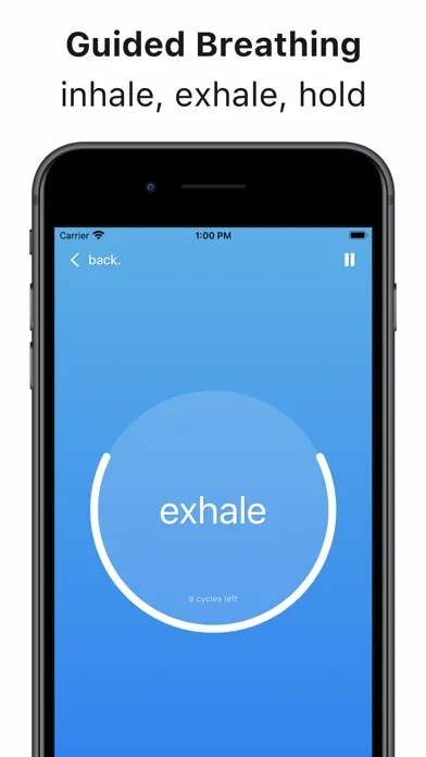 Capturas de pantalla de iBreathe – Relax and Breathe