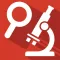 Magnifying Glass & Telescope