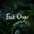Erik Orgu – elu ilma dieedita Erik Orgu – elu ilma dieedita