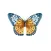 Decorative Butterflies