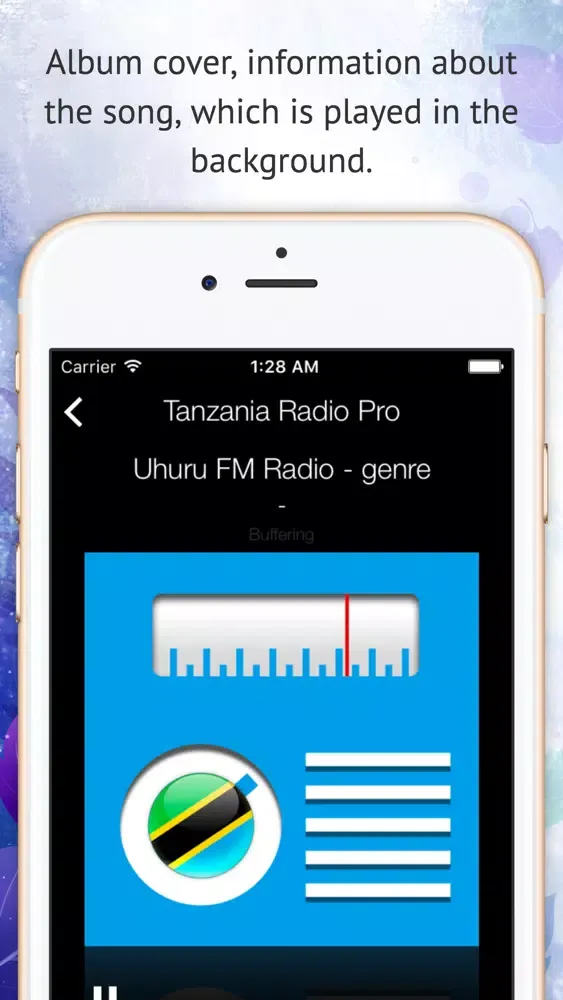 Tangkapan layar Tanzania Radio Pro