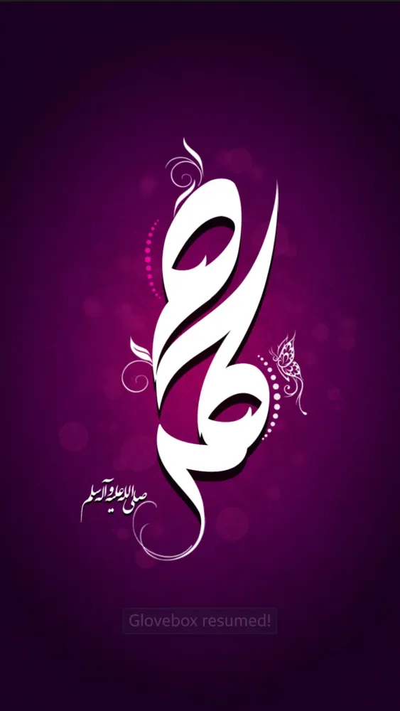 H�a�z�r�a�t� �M�o�h�a�m�m�a�d� �(�P�B�U�H�)� Ekran Görüntüleri