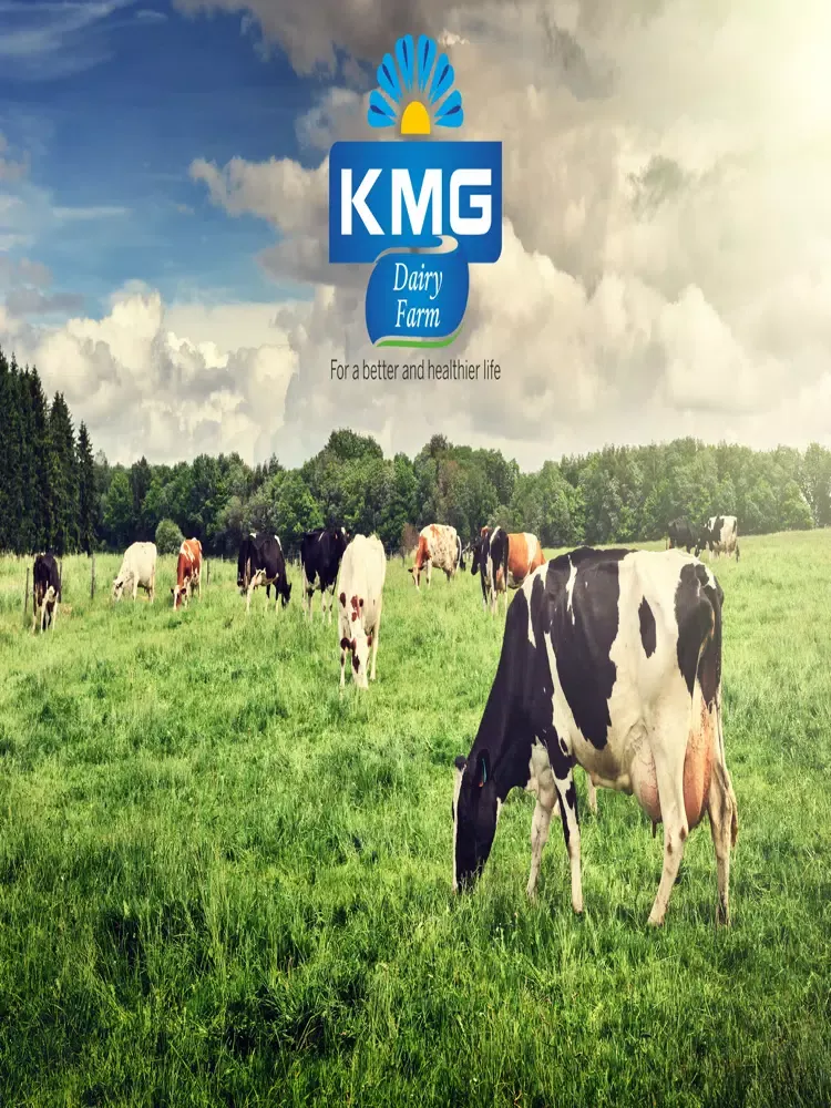 KMG Dairy Farm iPad 應用截圖