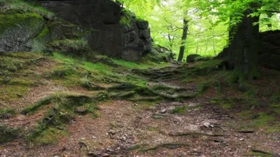 Captures d'écran de Medieval Castle Chojnik Escape