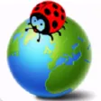 Ladybird School, Jubail