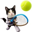 Kitty Tennis Game