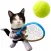 Kitty Tennis Game