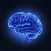 My Epilepsy Record(MER)