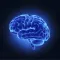 My Epilepsy Record(MER)