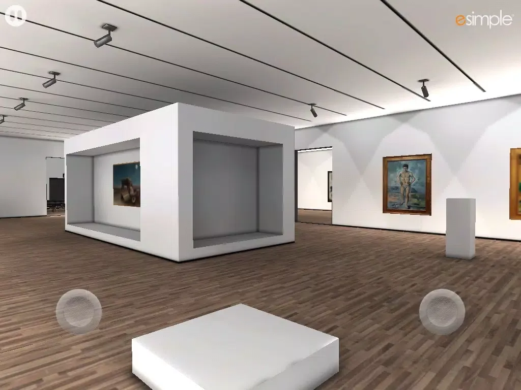 3D Virtual Art Gallery iPad 应用截图