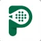 Padel Tournament Pro