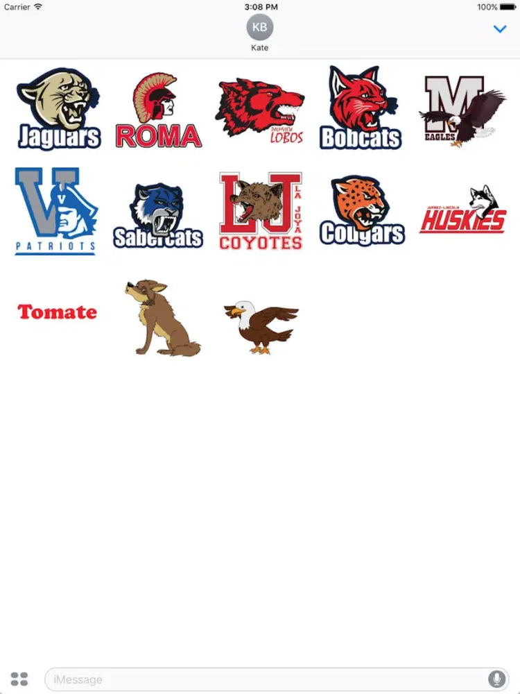 ภาพหน้าจอของ RGV Sport Stickers iPad 