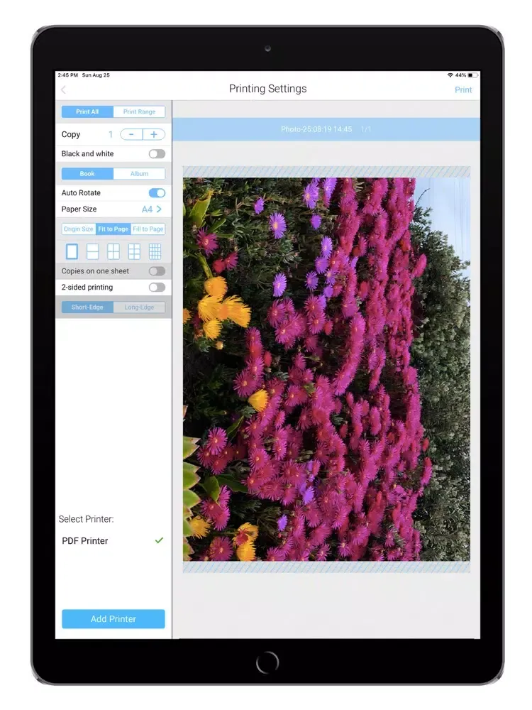 Capturas de pantalla de ES Printer iPad 