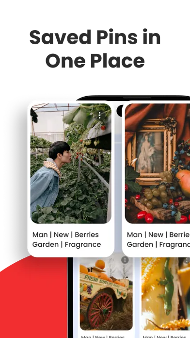 PinSaver - Save Pin Video Screenshots