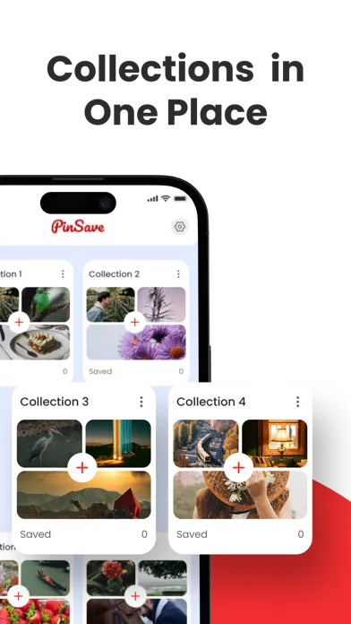 PinSaver - Save Pin Video Screenshots