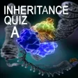 Genetics Inheritance Quiz A Genetics Inheritance Quiz A